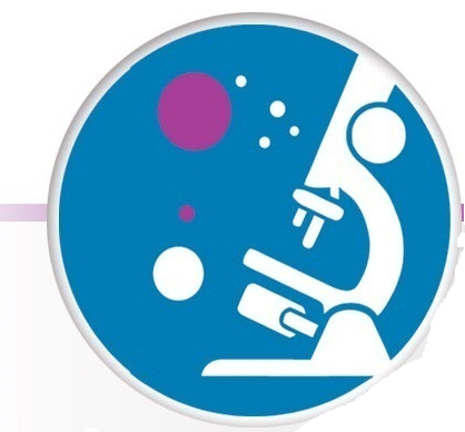 logo.png